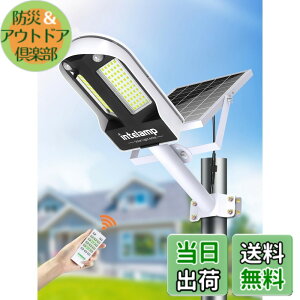 �y���������zintelamp �\�[���[�X�� �l���Z���T�[ 6500K�����F �Ɩ� �F�F�u���b�N���z���C�g�A�T�C�Y�F13P10