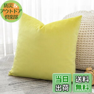 �y���������zOtostar �N�b�V�����J�o�[ 45x45cm 1�� ���n ������� ���� �x���x�b�g ���_�� �W�b�p�[�� �C���e���A ���������p �����p�s���[�J�o�[ �F�F�������C�G���[�A�T�C�Y�F45cmx45cm(1 ���g