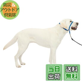 【送料無料】PetSafe（ペットセーフ） ジェントルリーダー 引っ張り防止 ヘッドカラー 犬用 散歩トレーニング 色：ロイヤルブルー、サイズ：Lサイズ (x 1)