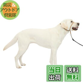 【送料無料】PetSafe（ペットセーフ） ジェントルリーダー 引っ張り防止 ヘッドカラー 犬用 散歩トレーニング 色：フォーン、サイズ：L