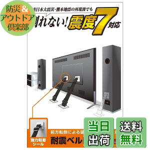 �y���������z�G���R�� �ϐk�x���g �e���r�p 75�C���`�܂őΉ� ���͔S���V�[���^�C�v 2�{�� TS-002N2 �F�F�z���C�g�A�T�C�Y�F��