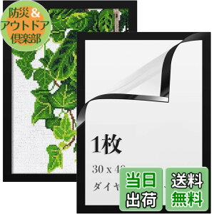 �y���������zLEADINTOP �_�C�������h�A�[�g �t�H�g�t���[�� �}�O�l�b�g�t�� 30 x 40 cm �_�C�������h�G��p �ǂ������Ȃ� ���ȔS���� �Ǌ|�� �f�B�X�v���C�t���[�� �ʐ^�t���[�� �\���� �|�X�^