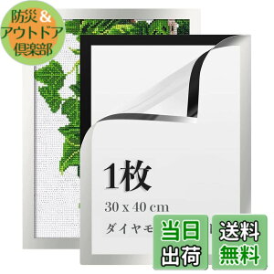 �y���������zLEADINTOP �_�C�������h�A�[�g �t�H�g�t���[�� 2�� �}�O�l�b�g�t�� 30 x 40 cm �_�C�������h�G��p �ǂ������Ȃ� ���ȔS���� �y�� �Ǌ|�� �f�B�X�v���C�t���[�� �ʐ^�t���[�� �\��