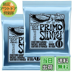 �y���������z�y���K�i�z ERNIE BALL �G���L�M�^�[�� SLINKY �F�F�v����(9.5-44)�A�T�C�Y�F9.5-44