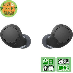 �y���������z�\�j�[(SONY) ���S���C�����X�C���z�� WF-C500/WF-C510 :/�����x�ʘb�i��/IPX4�h�H���\ �F�F�u���b�N�A�T�C�Y�F���^�y��