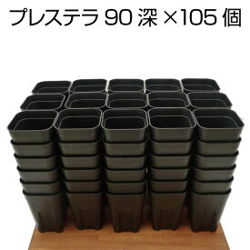 プレステラ90深鉢（105個セット）ブラック プラスチック鉢 プランター 2.5号鉢 実生 育苗 多肉植物 サボテン 用
