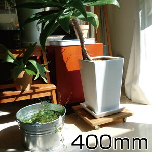 v^[x[X 400mm TCY b g[ X^h  u Rt LX^[t ړ ؐ  v[g  K[f DIY  ϗtA ϗtApi ̑
