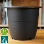 楽天市場 マジカルポット90 40個セット ブラック プラスチック鉢 2 5号鉢 実生 育苗 多肉植物 サボテン 根腐れ防止 鉢内温度低下 根巻き防止 通気性抜群 タニサボ Grassland グラスランド