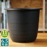 楽天市場 マジカルポット90 40個セット ブラック プラスチック鉢 2 5号鉢 実生 育苗 多肉植物 サボテン 根腐れ防止 鉢内温度低下 根巻き防止 通気性抜群 タニサボ Grassland グラスランド 楽天市場 マジカルポット90 40個セット ブラック プラスチック鉢 2 5号鉢 実生 育苗 多肉植物 サボテン 根腐れ防止 鉢内温度低下 根巻き防止 通気性抜群 タニサボ Grassland グラスランド