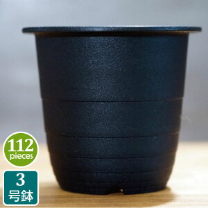 サボテン プラスチック プランターの人気商品 通販 価格比較 価格 Com