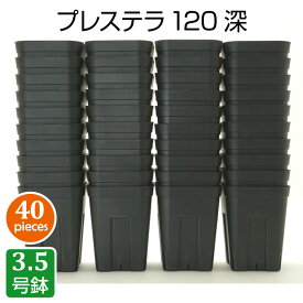 楽天市場 植木鉢 サイズ 植木鉢 3号 植木鉢 プランター ガーデニング 農業 花 ガーデン Diyの通販 楽天市場 植木鉢 サイズ 植木鉢 3号 植木鉢 プランター ガーデニング 農業 花 ガーデン Diyの通販