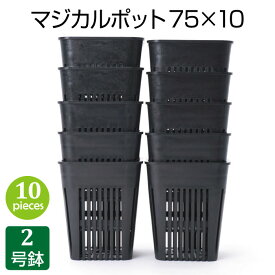 楽天市場 植木鉢 2号の通販