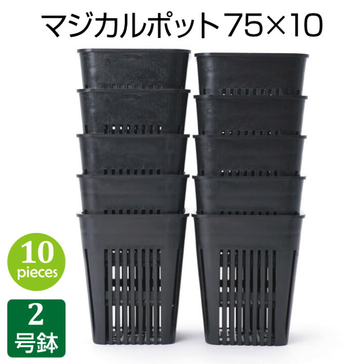 楽天市場 植木鉢 マジカルポット75 10個セット 2号 おしゃれ プラスチック鉢 実生 育苗 多肉植物 多肉 サボテン Grassland グラスランド
