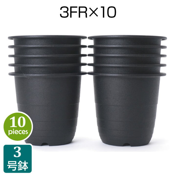 楽天市場 プラ鉢 3号 3fr 10個セット 黒 ブラック プラスチック鉢 3号鉢 実生 育苗 多肉植物 サボテン 根腐れ防止 鉢内温度低下 根巻き防止 通気性抜群 タニサボ Grassland グラスランド