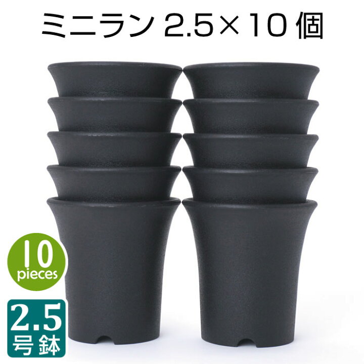 楽天市場 プラ鉢 2 5号 ミニラン鉢 10個セット 黒 ブラック プラスチック鉢 ミニ蘭 2 5号鉢 実生 育苗 多肉植物 サボテン タニサボ Grassland グラスランド