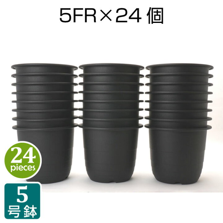 楽天市場 プラ鉢 5号 5fr 24個セット 黒 ブラック プラスチック鉢 5号鉢 実生 育苗 多肉植物 サボテン タニサボ Grassland グラスランド