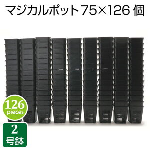 Aؔ }WJ|bg75i126Zbgj2  vX`bN v^[  c A  T{e