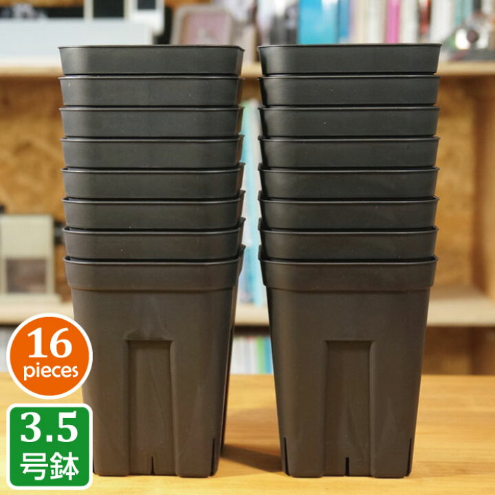 楽天市場 プレステラ1深鉢 16個セット ブラック プラスチック鉢 3 5号鉢 実生 育苗 多肉植物 サボテン 用 Grassland グラスランド