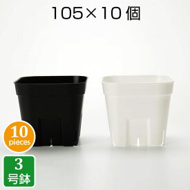プレステラ105（10個セット）3号 プラ鉢 プラスチック鉢 プランター 鉢 実生 育苗 多肉植物 サボテン 用