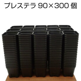プレステラ90（300個セット） 2.5号 プラ鉢 プラスチック鉢 プランター 実生 育苗 多肉植物 サボテン 用