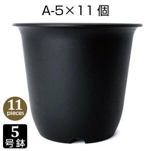 Aؔ 5 A-5 i11Zbgj F [ vX`bN v^[ 5