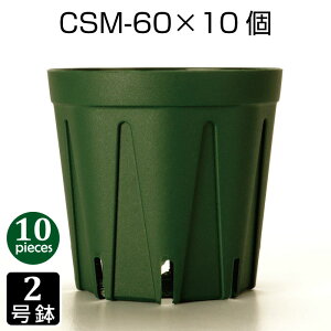 Aؔ 2 CSM-60 i10Zbgj c vX`bN Xbg v^[ 8p`