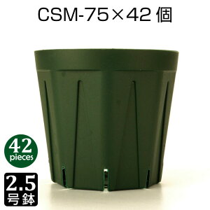 Aؔ 2.5 CSM-75 i42Zbgj c vX`bN Xbg v^[ 8p`