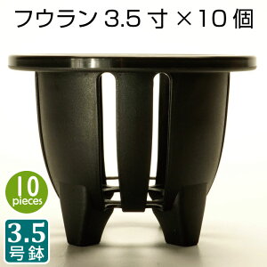 Aؔ 3.5 tE3.5 i10Zbgj  vX`bN xM  v^[