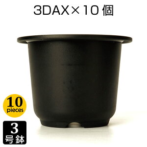 Aؔ 3 3DAX i10Zbgj ubN vX`bN v^[