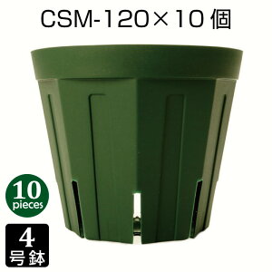 Aؔ 4 CSM-120 i10Zbgj c vX`bN Xbg v^[ 8p`