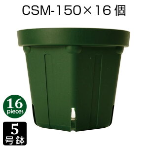 Aؔ 5 CSM-150 i16Zbgj c vX`bN Xbg v^[ 6p`