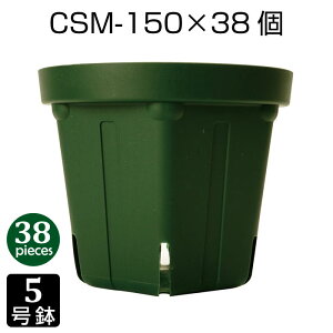 Aؔ 5 CSM-150 i38Zbgj c vX`bN Xbg v^[ 6p`