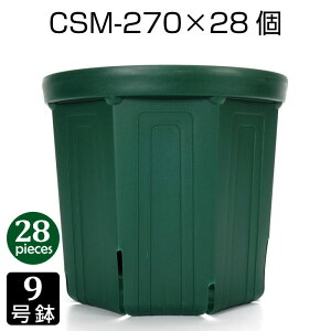 Aؔ 9 CSM-270 i28Zbgj c vX`bN Xbg v^[ 8p`