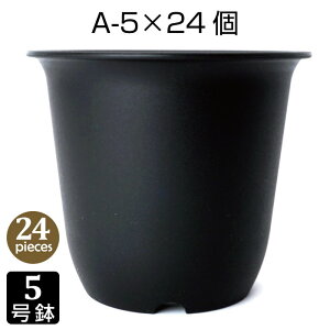 Aؔ 5 A-5 i24Zbgj F [ vX`bN v^[ 5