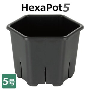 Hexa Pot 5 �y5�����z �w�L�T�|�b�g 6�p�` �X���b�g��