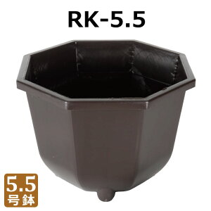 �A�ؔ� RK-5.5