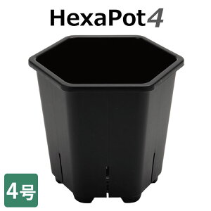 Hexa Pot 4 �y4�����z �w�L�T�|�b�g 6�p�` �X���b�g��