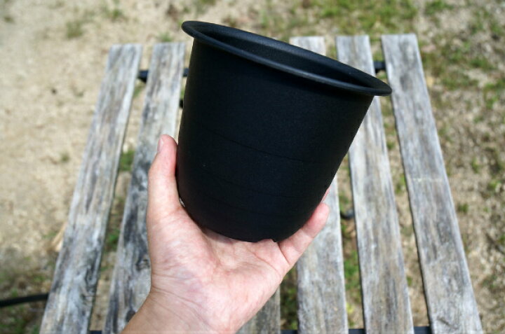 楽天市場 プラ鉢 4 5号 Fr 個セット 黒 ブラック プラスチック鉢 4 5号鉢 実生 育苗 多肉植物 サボテン 根腐れ防止 鉢内温度低下 根巻き防止 通気性抜群 タニサボ Grassland グラスランド