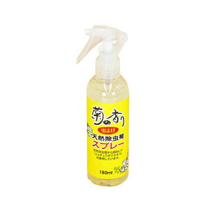 e̍ VReXv[ 180ml ЎʌZ폤 h  AEghA O O | K[fjO Q΍  _ _ 