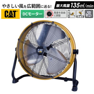 CAT H 50cmiǁE^Cvj Ɩp@ HƗp@ HƐ@ H@ Hp@ ^@ ͐@ T[L[^[ @   q  C z ւ 