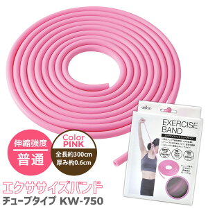 GNTTCYoh PINK sN  `[u^Cv KW-750 N _CGbg _CGbg `[ug[jO GNTTCY S e ؃g ؗ g[jO Soh Diet Traning `