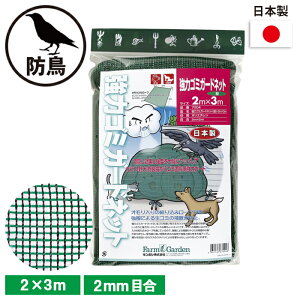 ̓S~K[hlbgiO[j 2×3m K[fjO | _ _ H   L{V