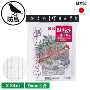 悯lbgii`j 2×4m K[fjO | _ _ H   L{V