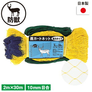 K[hlbg ̓^Cv 2×30mi10cmځj K[fjO | _ _ H   L{V