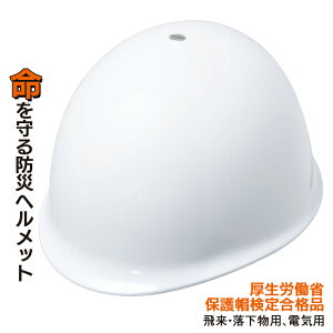 hЃwbg ywbg iNo.110jz Ɨpwbg 򗈁Ep dCphЃObY p hЗpi pi ЊQ ً} nk΍ pY