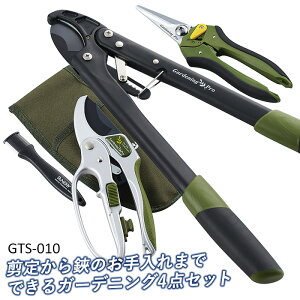 yK[fc[ZbgiGTS-010jz K[fjO  ΂ | |pi K[fjOpi } V[vi[ nT~ pY