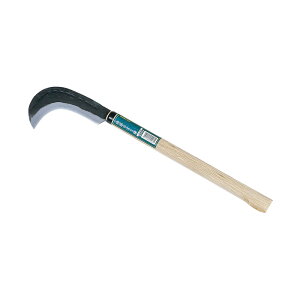 GS ̂ڂ芙 220g K[fjO | _ _ H   L{V