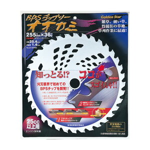 Ζ`bv\[IIJ~ BPS`bv\[ IIJ~ 255×36P K[fjO | _ _ H   L{V