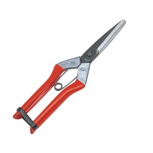 啟  K[fjO | _ _ H   L{V