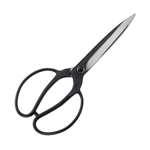 V vpA nn 150mm K[fjO | _ _ H   L{V